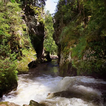 Brauereigasthof Rogg לנצקירש