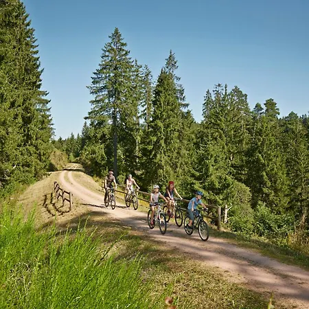 לינה וארוחת בוקר Brauereigasthof Rogg *